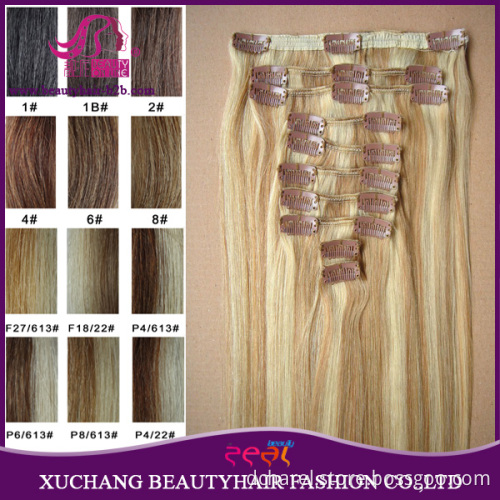 Clip in / on European Human Remy Hair Extensions